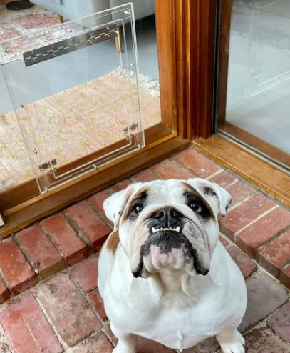 Standard Perspex - Clear Glass Fitting Door (all sizes, colours optional) - Image 3