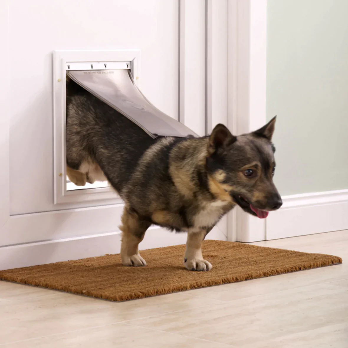 Staywell Pet Door [S, M, L, XL] - Image 4